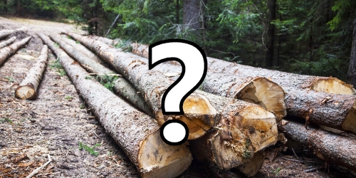 Wurde für diese Produkte Holz aus dem Regenwald verwendet?